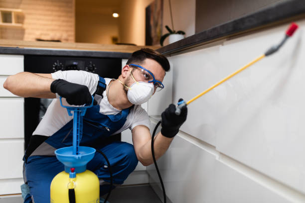 Best Cockroach Control Services  in Oronoque, CT