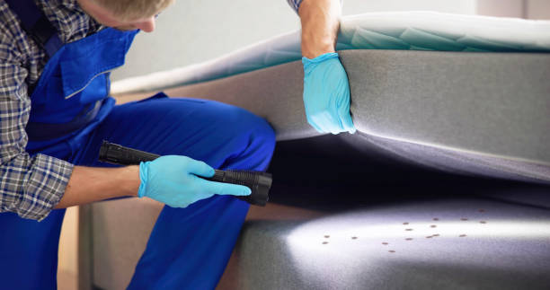 Best Affordable Pest Control Services  in Oronoque, CT