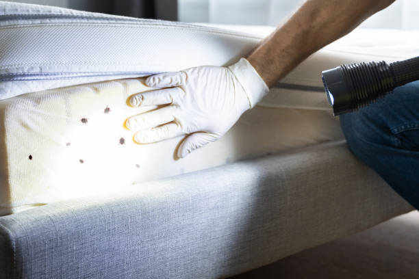 Best Pest Removal Services  in Oronoque, CT
