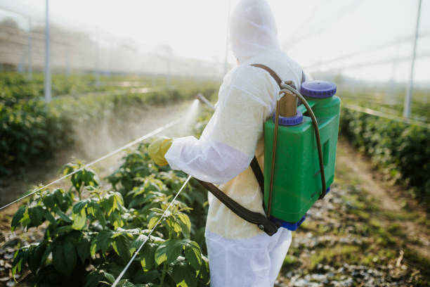 Best Insect Control  in Oronoque, CT